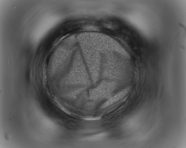 X0000095131487200801041235