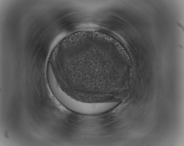 X0000095131488200801041235