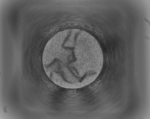 X0000095131489200801041234