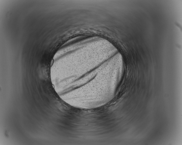 X0000095131490200801041234