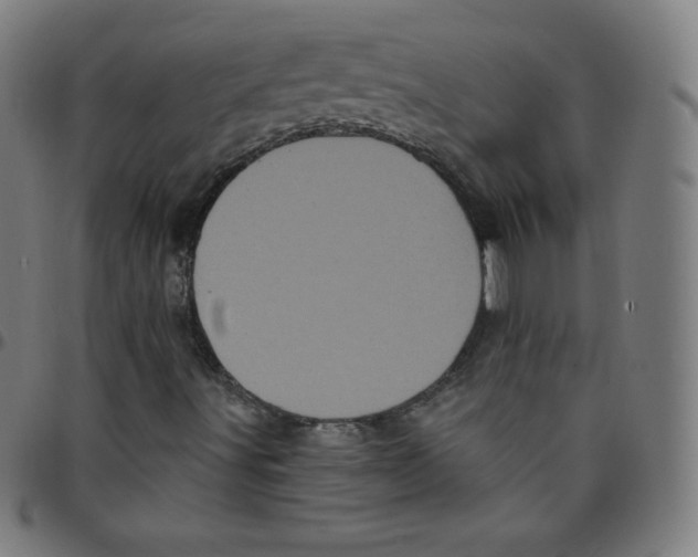 X0000095131491200801041234