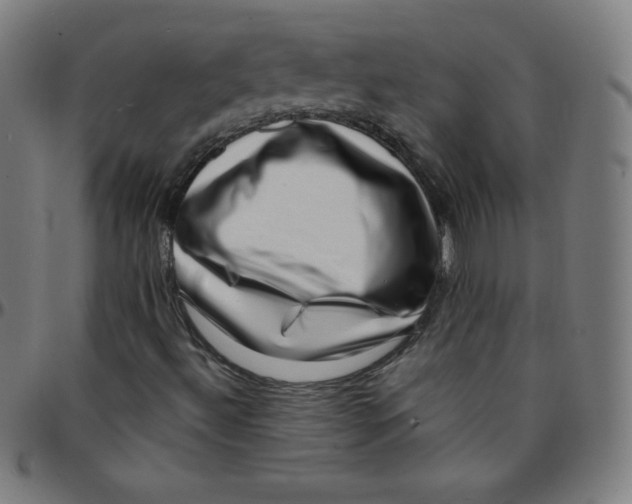 X0000095131492200801041234