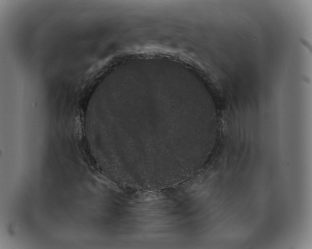 X0000095131493200801041234