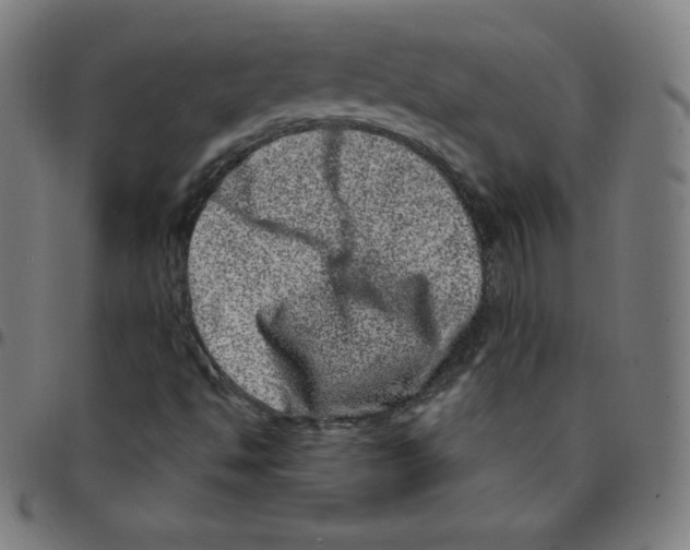 X0000095131494200801041234