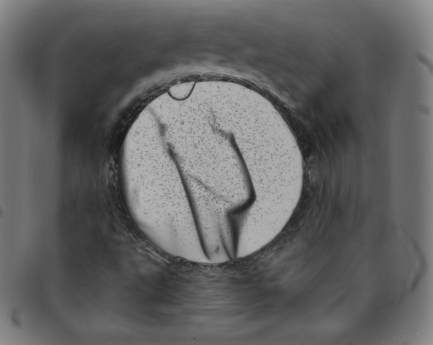 X0000095131495200801041234