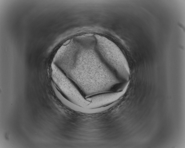 X0000095131496200801041234