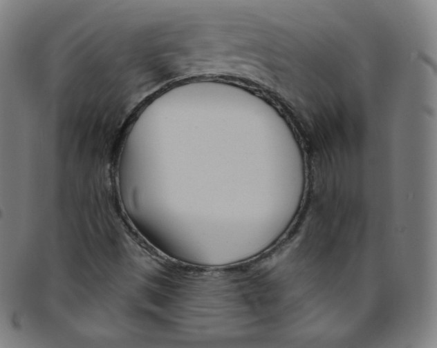 X0000095131497200801041234