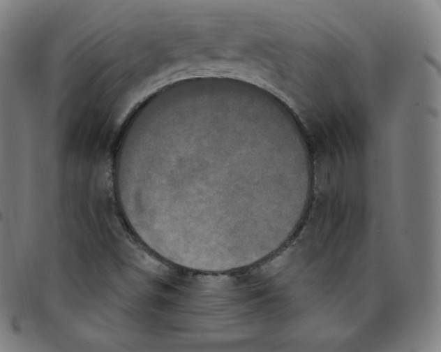 X0000095131498200801041234