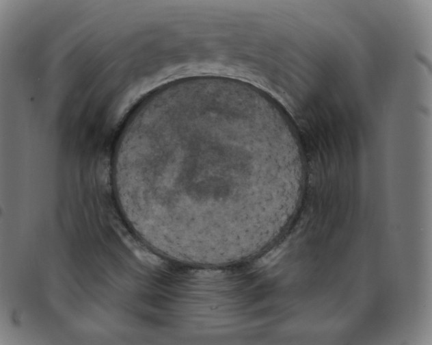 X0000095131499200801041234