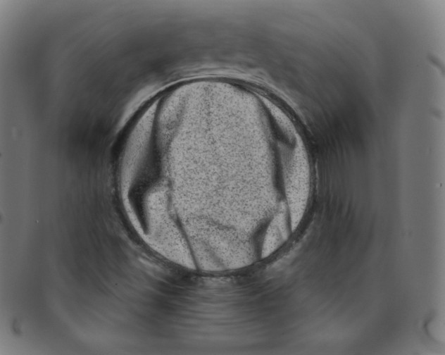 X0000095131501200801041234