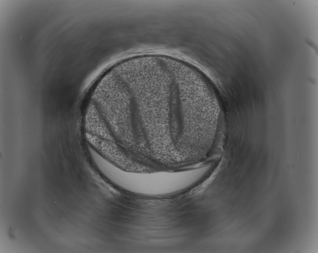 X0000095131502200801041234