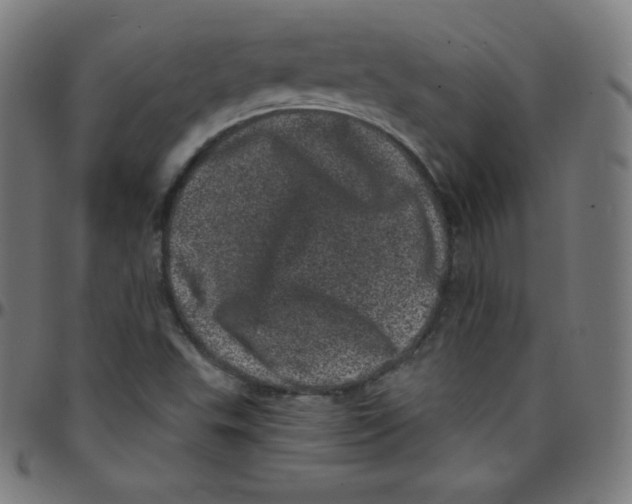 X0000095131503200801041234