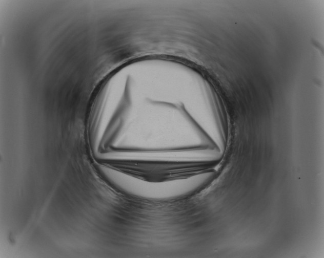 X0000095131505200801041234