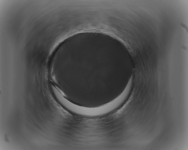 X0000095131506200801041234