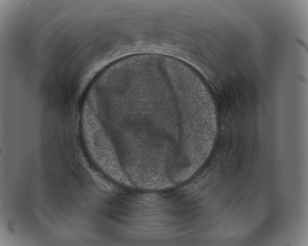 X0000095131507200801041234