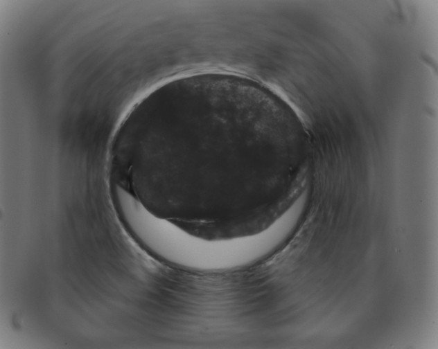 X0000095131508200801041234