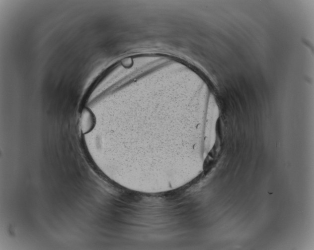 X0000095131509200801041234