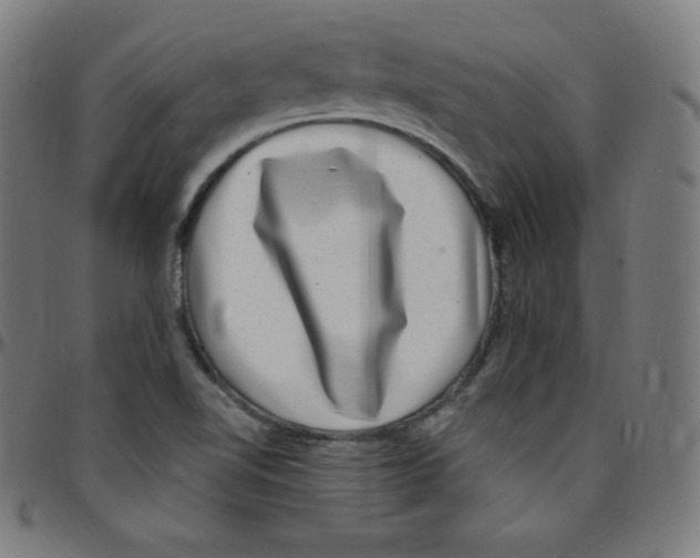 X0000095131510200801041234