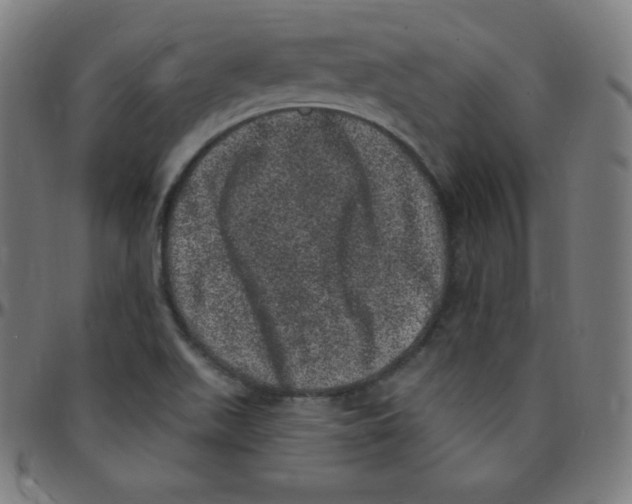 X0000095131511200801041234