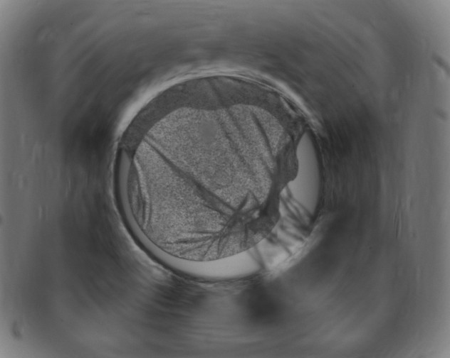 X0000095131512200801041234