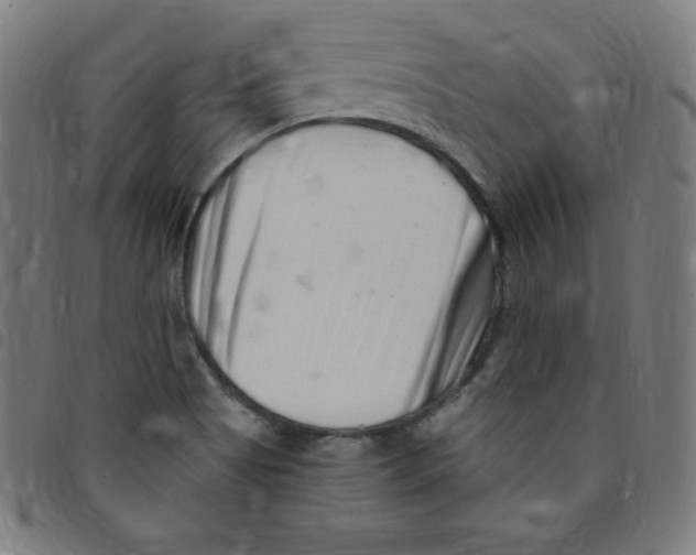 X0000095131513200801041234