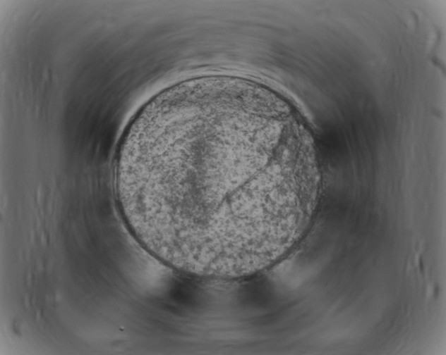 X0000095131514200801041234