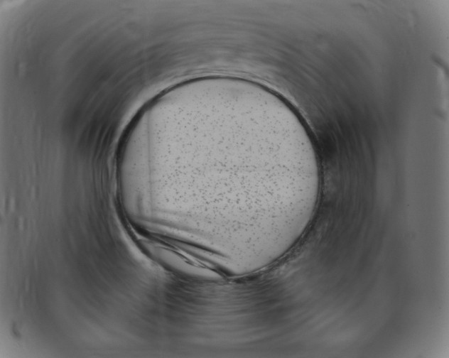 X0000095131515200801041234