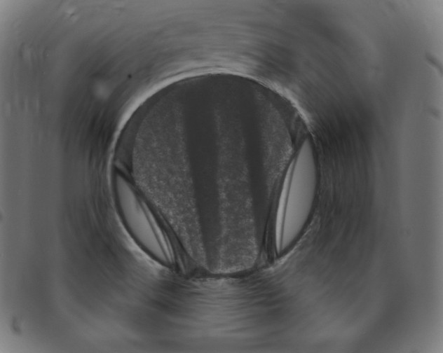 X0000095131516200801041234