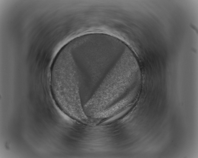 X0000095131519200801041234