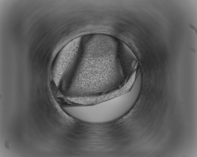 X0000095131520200801041234