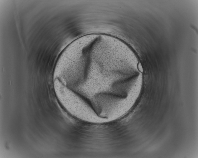 X0000095131521200801041234