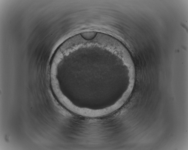 X0000095131522200801041234