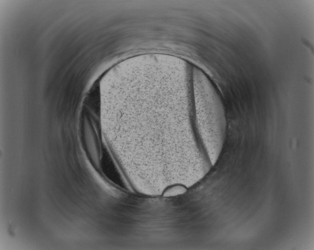 X0000095131523200801041234