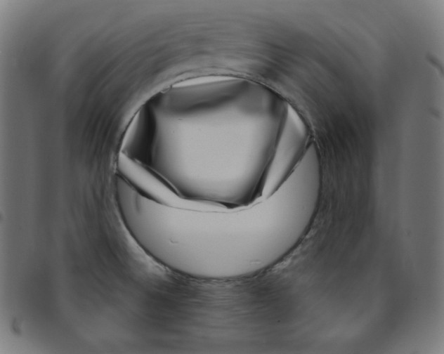 X0000095131524200801041234