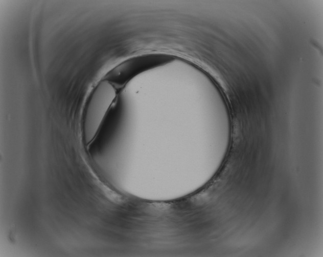 X0000095131525200801041234