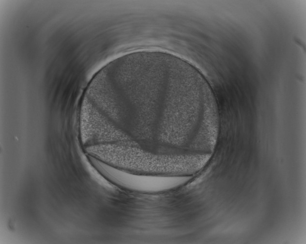 X0000095131526200801041234