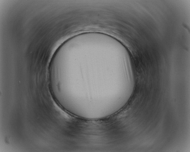 X0000095131527200801041234