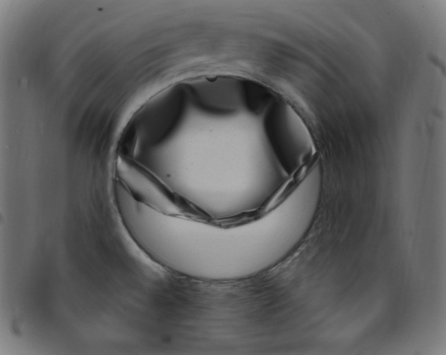 X0000095131528200801041234