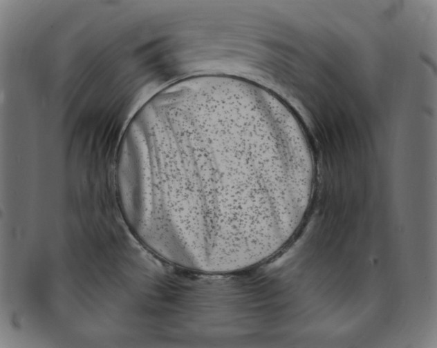 X0000095131529200801041234