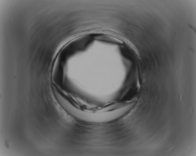 X0000095131530200801041234