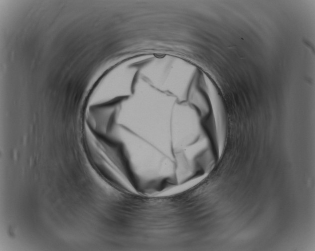 X0000095131531200801041234