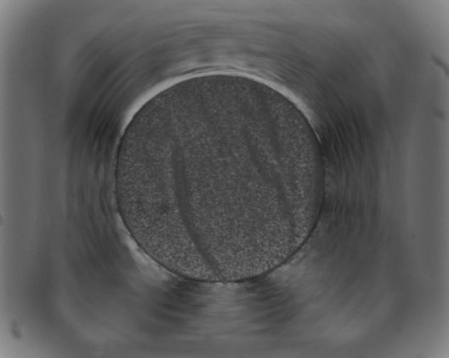 X0000095131534200801041234