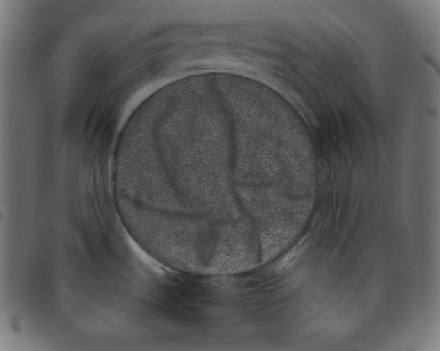 X0000095131535200801041234