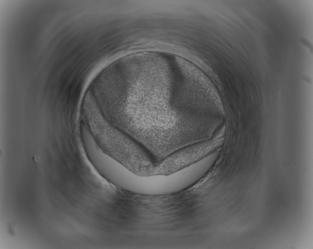 X0000095131536200801041234