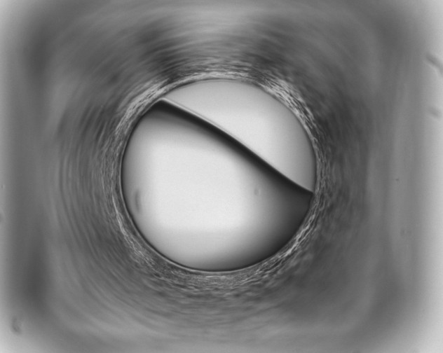 X0000095510001200712140945