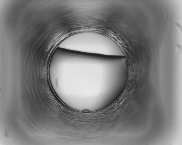 X0000095510002200712140945