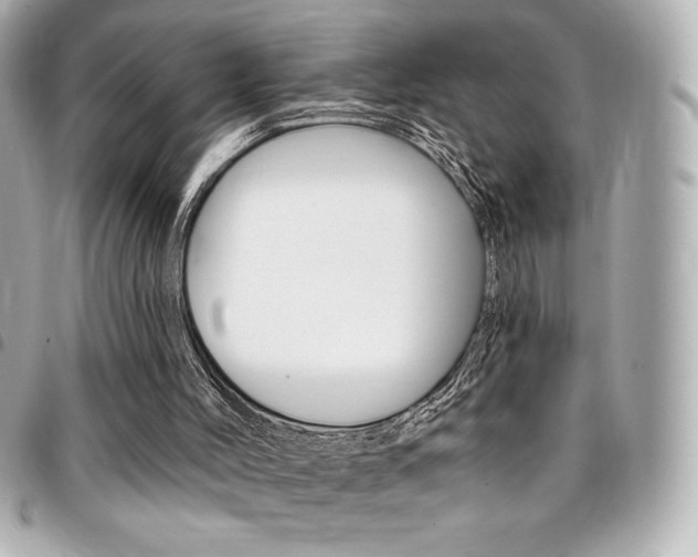 X0000095510004200712140945