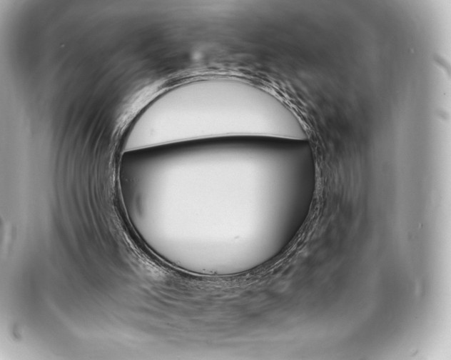 X0000095510005200712140945