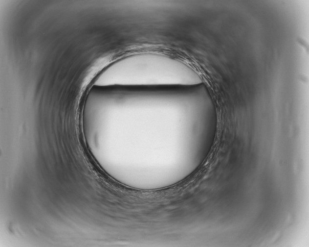 X0000095510006200712140945