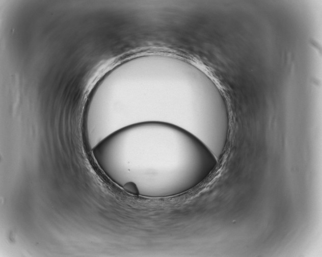 X0000095510007200712140945
